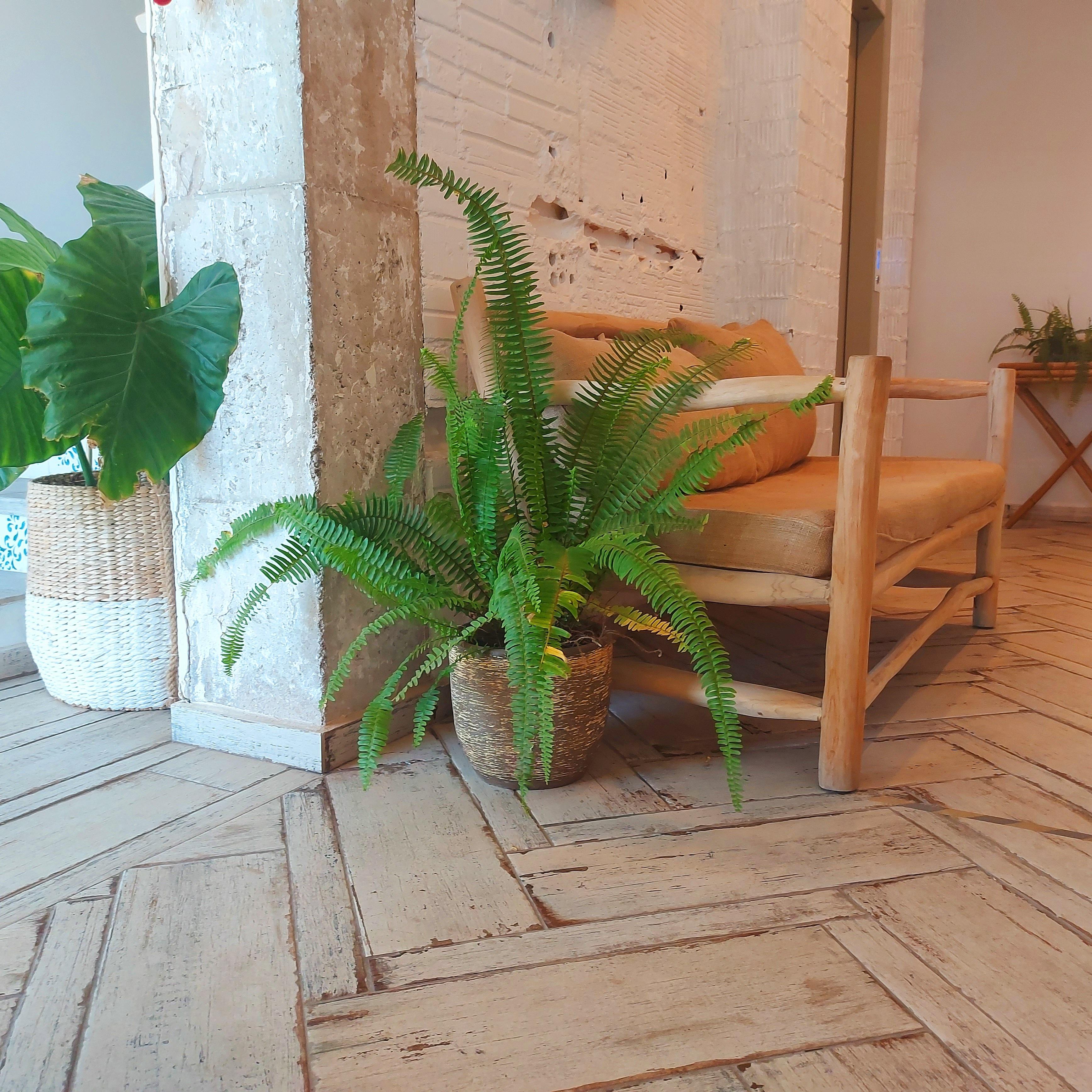 Duna Hotel Boutique Peñíscola Kültér fotó